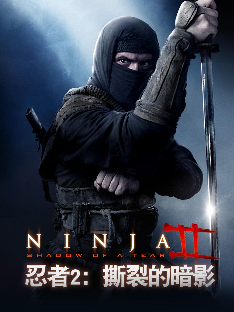 忍者2:撕裂的暗影