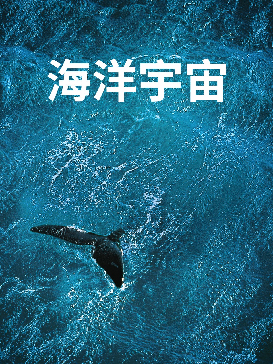海洋宇宙