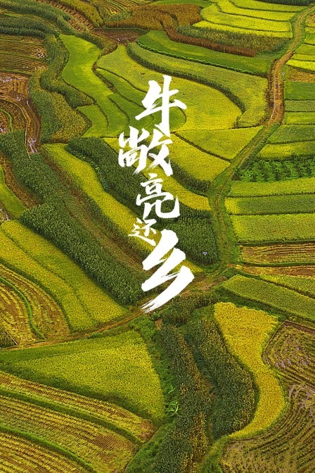 德川女刑罚绘卷牛裂之刑